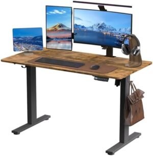 Electric Adjustable Height Standing Desk,48 * 24 Inches Sit Stand Up Computer Desk with Memory Preset,Home Office Workstation Gaming Rising Desk(Rustic Brown)